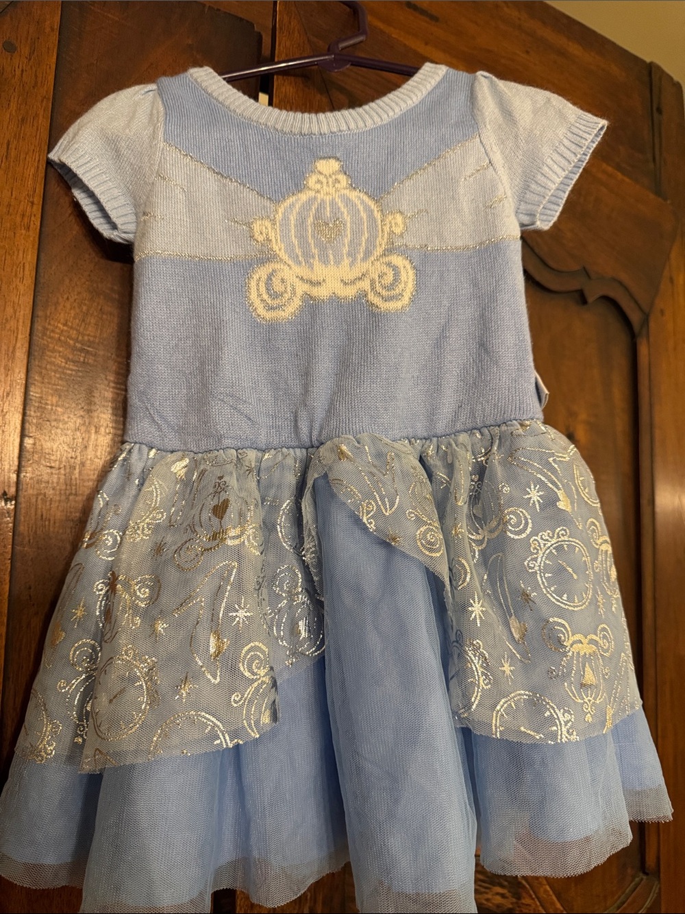 Disney Blue Princess Carriage Kids Costume Dress